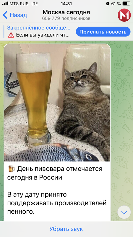 IMG-0811.png