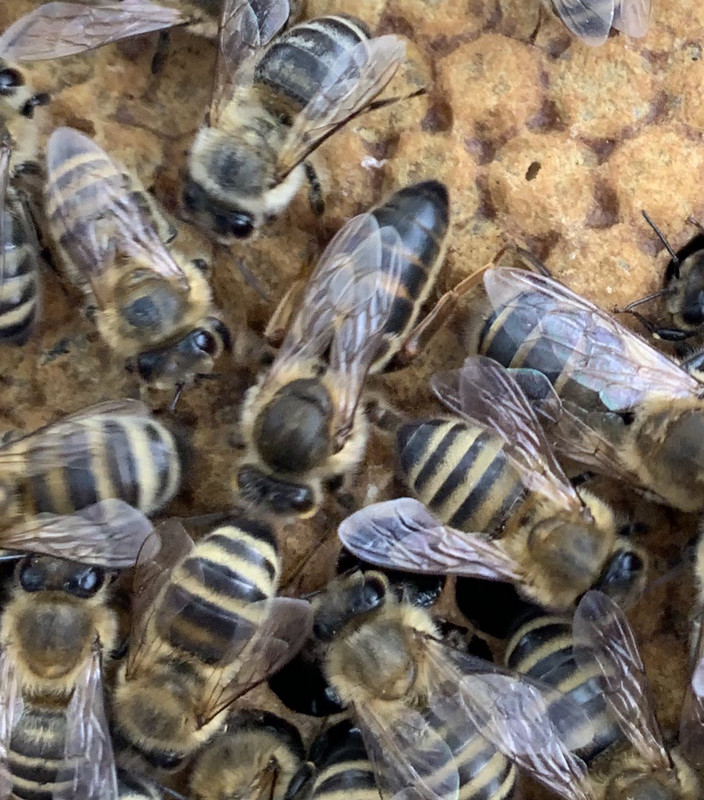 3C375320-CBD0-4133-93D7-9235CA3FB065