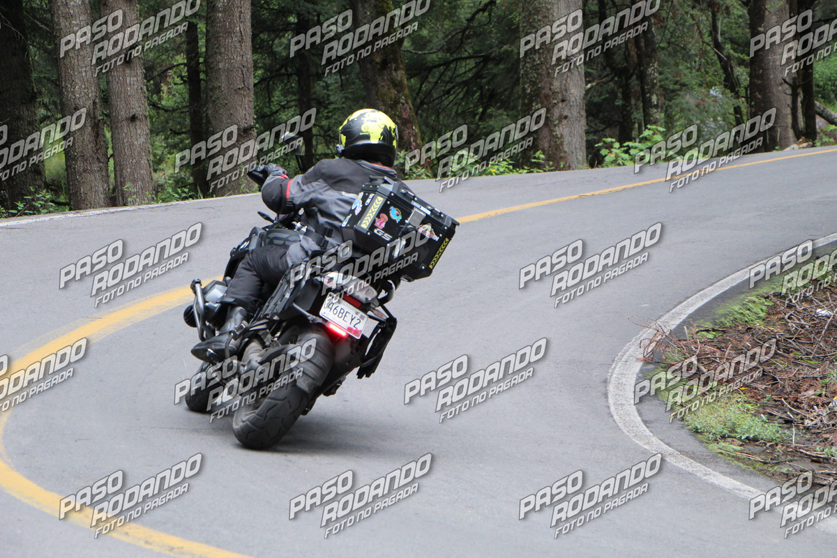 IMG 0025 wm 914387 2 watermarked — Postimages