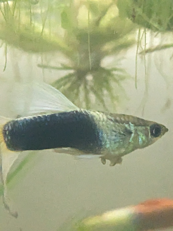 PXL_20240218_033329431