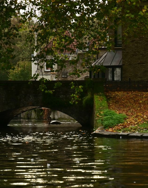 Otoño en Flandes - Blogs de Belgica - Día 3 (I): Amanecer en Brujas y paseo en barca por el canal. (8)