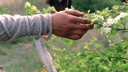 download-35.gif