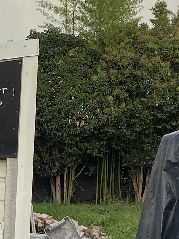 3ABAD8E5-37DB-4605-B4CB-D493158ABC66