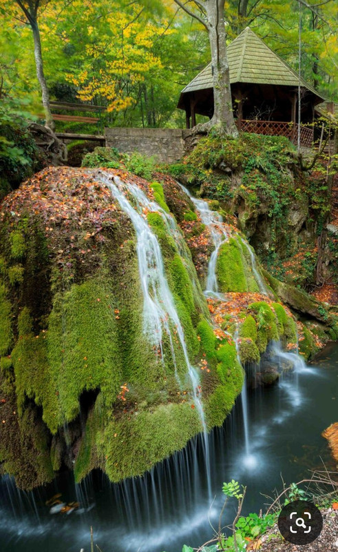 Screenshot_20231017_222159_Pinterest