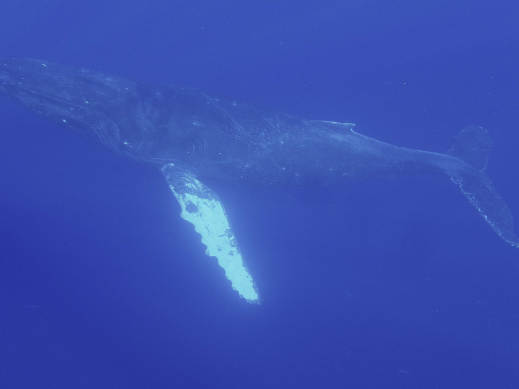 B7EB1B47-3F55-4541-AD6E-6D7C789DC081