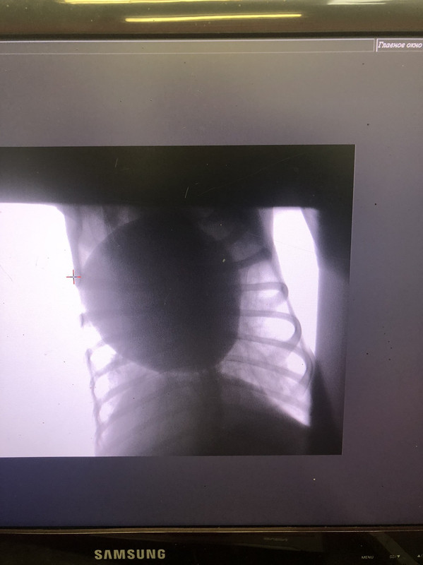 3060C55D-D706-4764-9C12-F73D9023B0B4