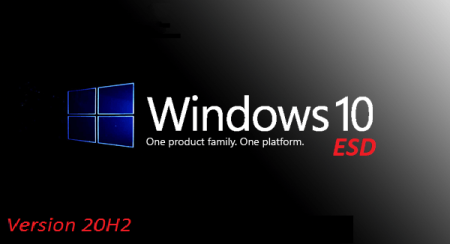 Windows 10 Pro 20H2 10.0.19042.746 (x64) for Workstations en-US January 2021