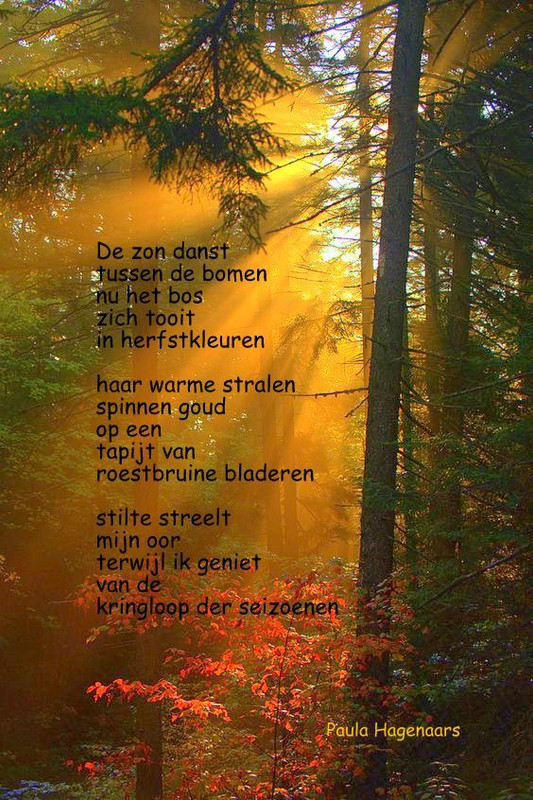 2ac083b67efe85a9fe2176a842bc3c17