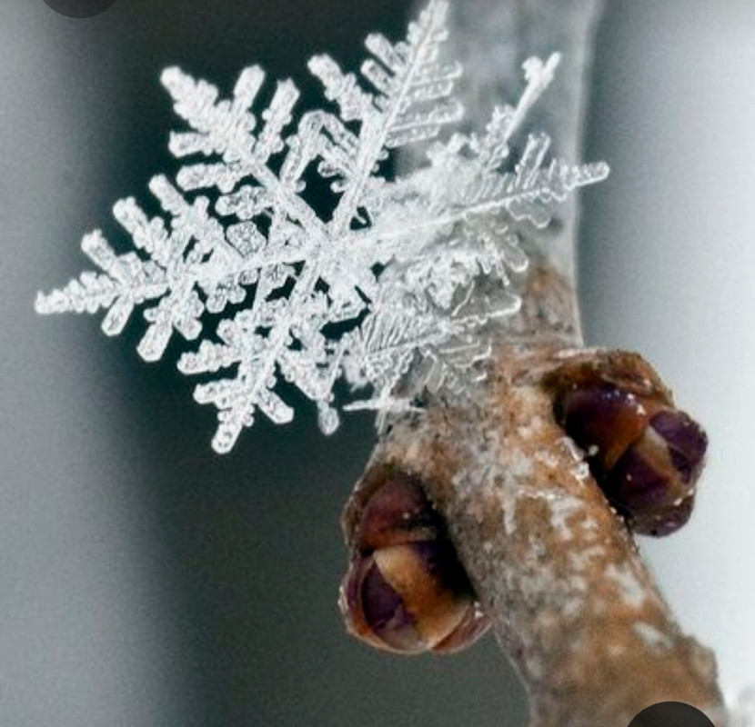 Screenshot_20230329_205509_Pinterest