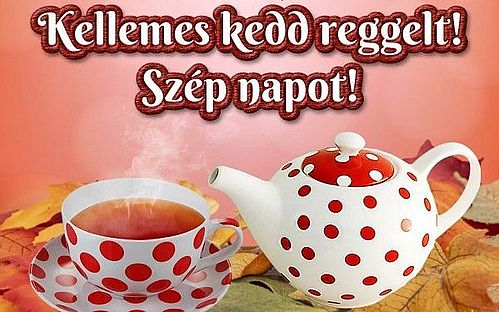 https://i.postimg.cc/qRTV0tNJ/kedd2.jpg