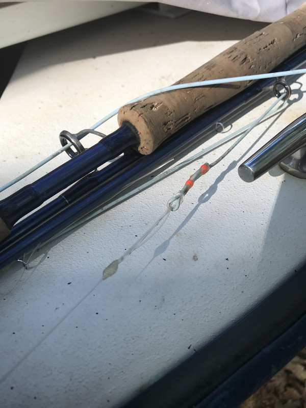 6B894DD5-7A99-43D5-81E5-9C60F25434C1