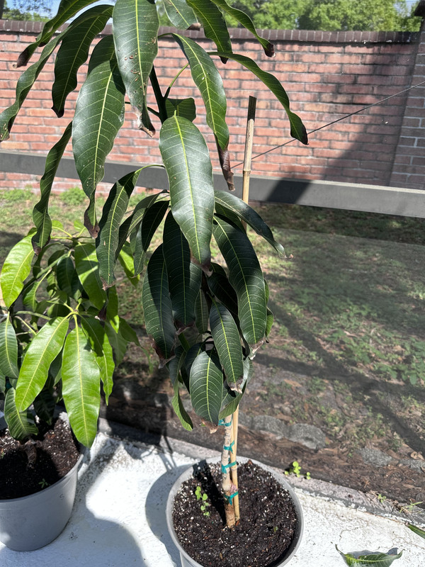 337607BA-B58A-42D2-92CF-70AAA6F6CBC8