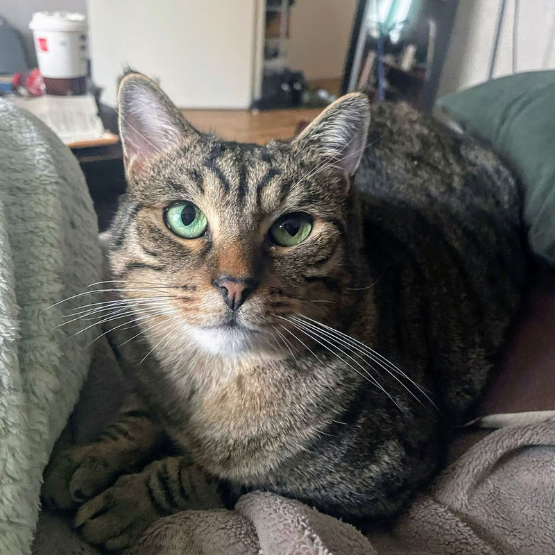 bcbbe176-3dbd-4efb-a621-769162713082