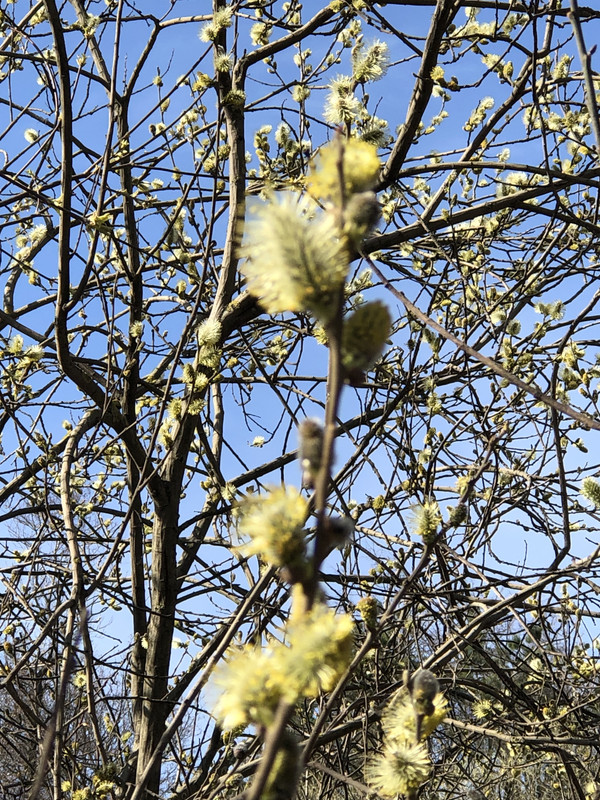 7A0C7B4C-D974-417C-BB8C-63475F8891CD