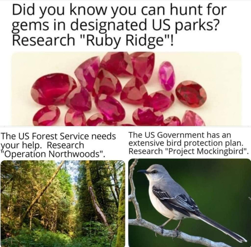 1752169800364724.jpg