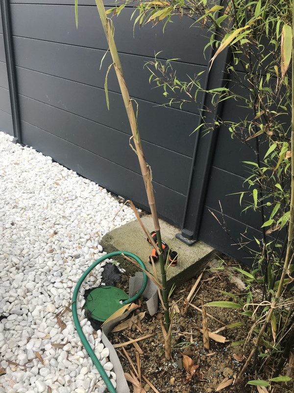 C8250CA1-FCC7-4298-A8AB-619EF7DF5FB0