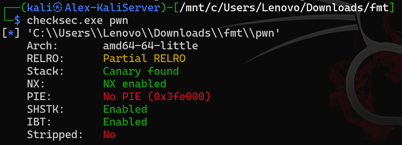 checksec