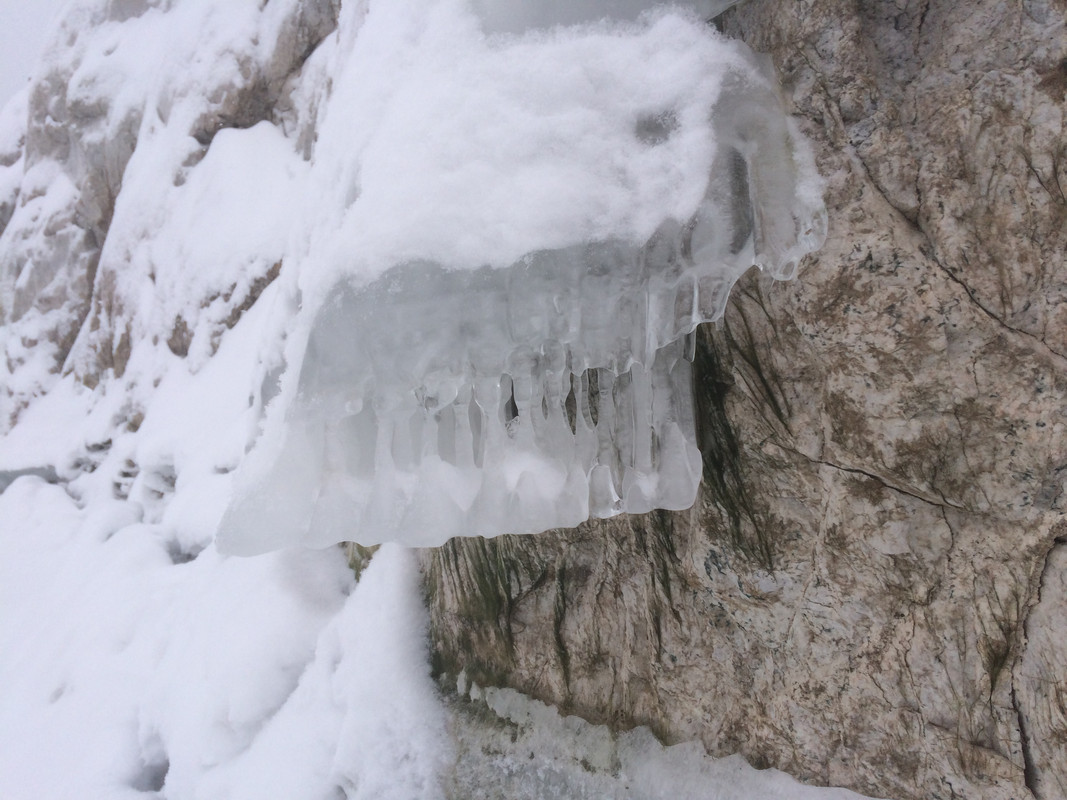 2F0268F3-D24D-445B-989D-C51F4524100A