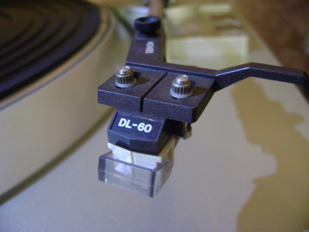 DSC04999