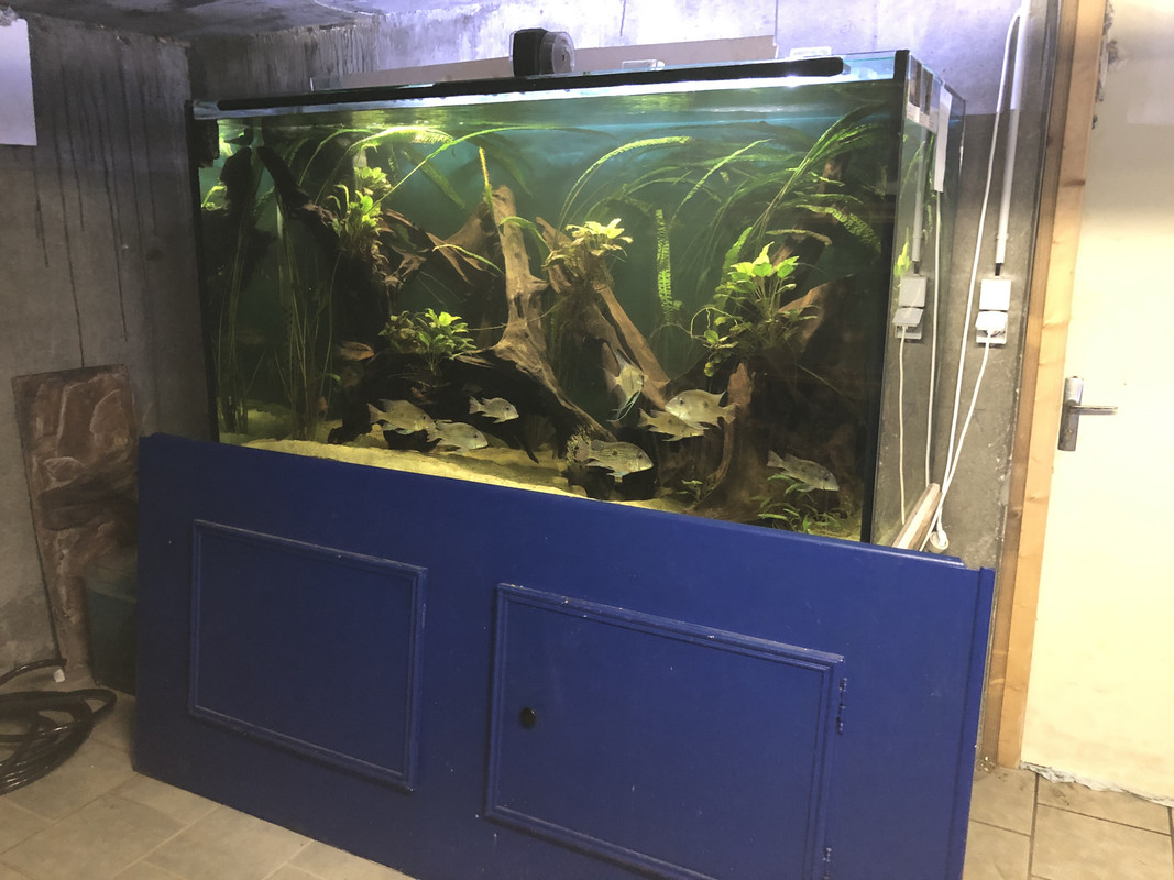 28680771-7556-4985-8C0F-0E2270EC8ACD