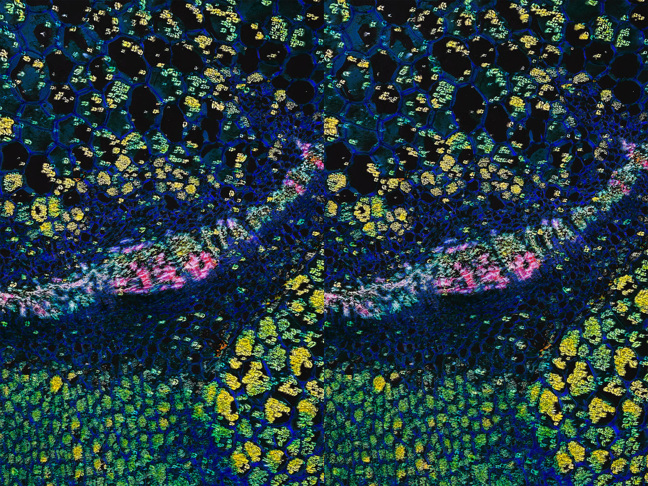 Stereo 3 5 Cross TPnd 4K
