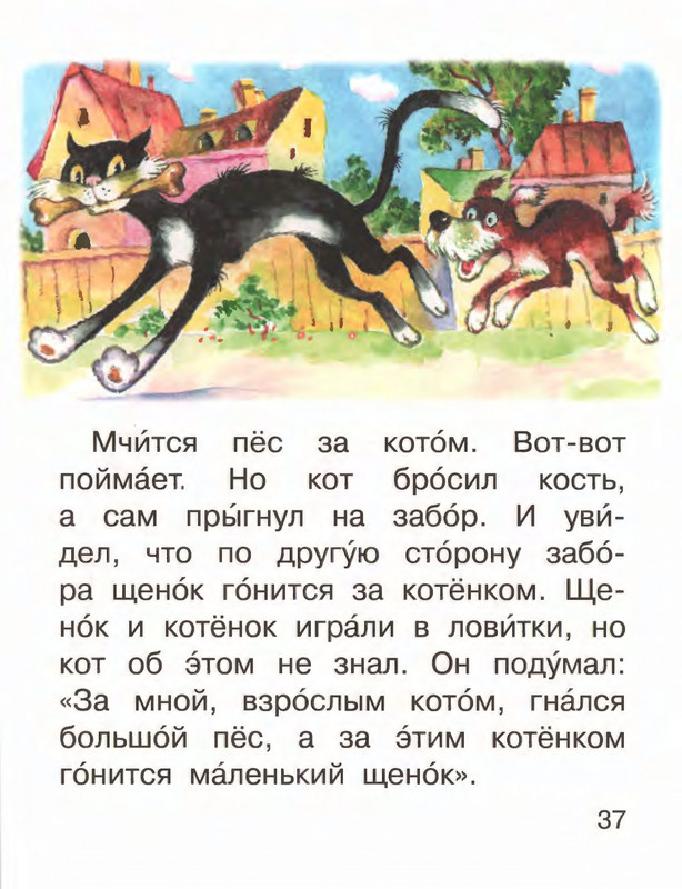 2016-page-0041