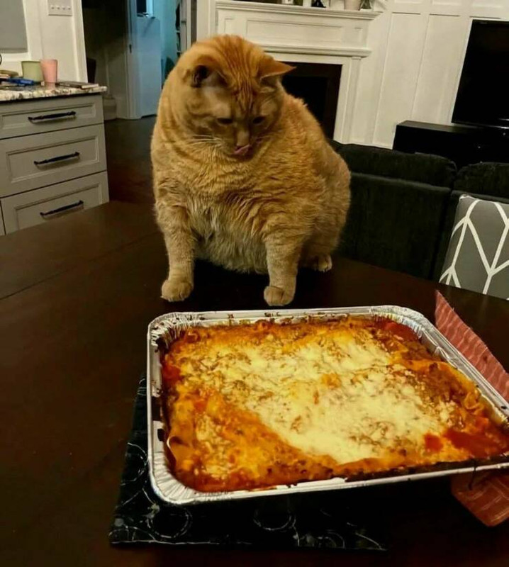 daily-picdump-48-2.jpg