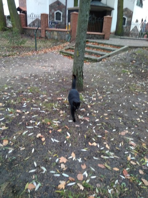 IMG_20201125_100109.jpg