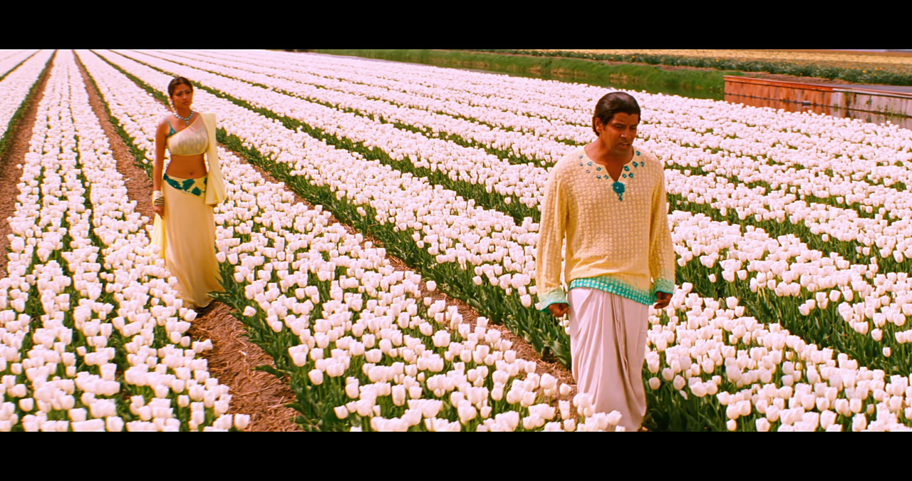 VideoCapture_20241122-195818