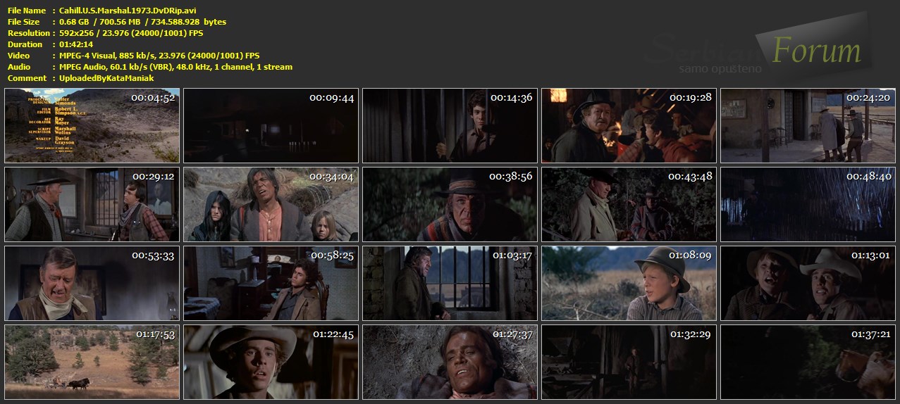 Cahill-U-S-Marshal-1973-Dv-DRip-avi.jpg