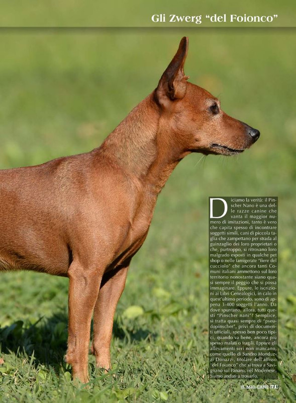 Il M C Feb 2022 (12)