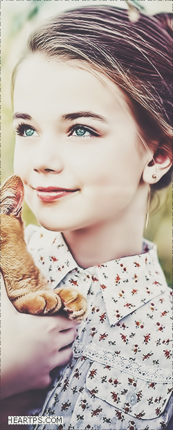 ���� ���� ������ �� ���� ������