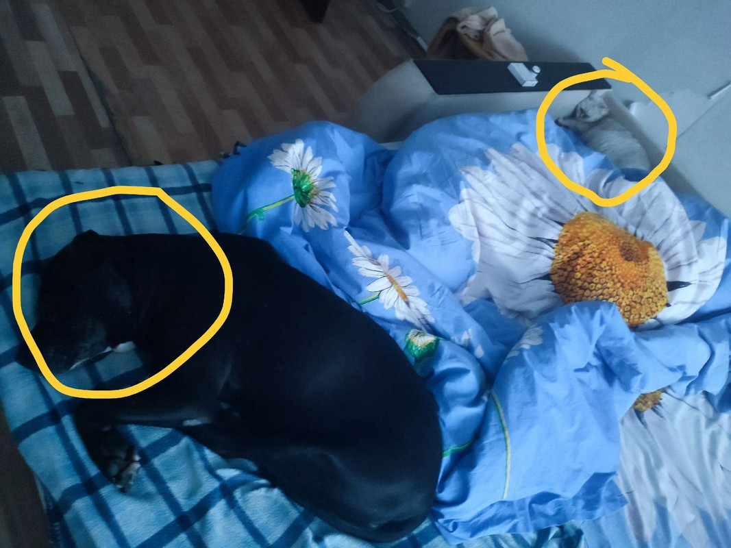 0D949D47-0BBA-4359-97AC-8A63C7B4346F