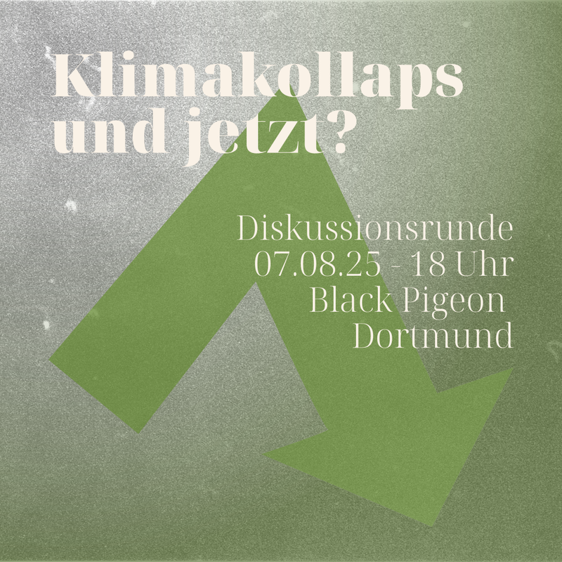 Sharepic für die Diskussionsrunde am 7.8.2025 um 18 Uhr im Black Pigeon in Dortmund. Im Hintergrund ist ein spitzer grüner Pfeil nach unten vor einem gekörnten Hintergrund, der einen grünen farbverlauf hat. Alles wirkt entsättigt.