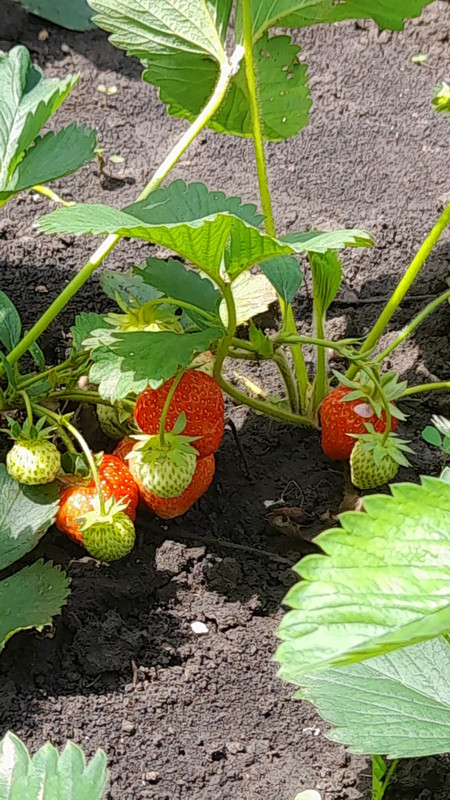 Изображение WhatsApp 2025-05-14 в 12.00.01_10db900a