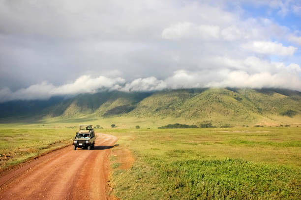 luxury Tanzania safari