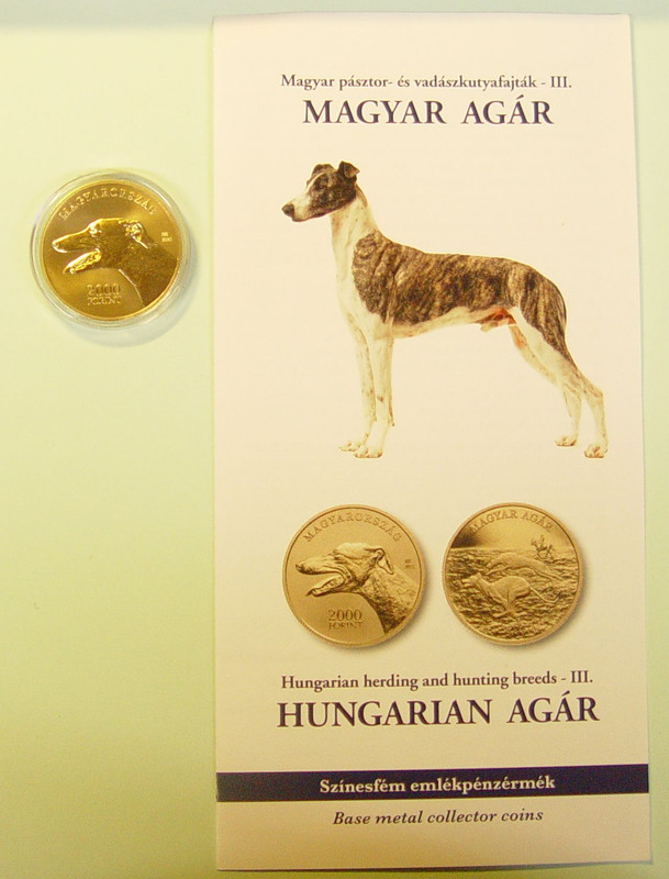 Ung-2000-Jagdhund-2021-PL-A