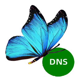 [Kép: Dns.png]