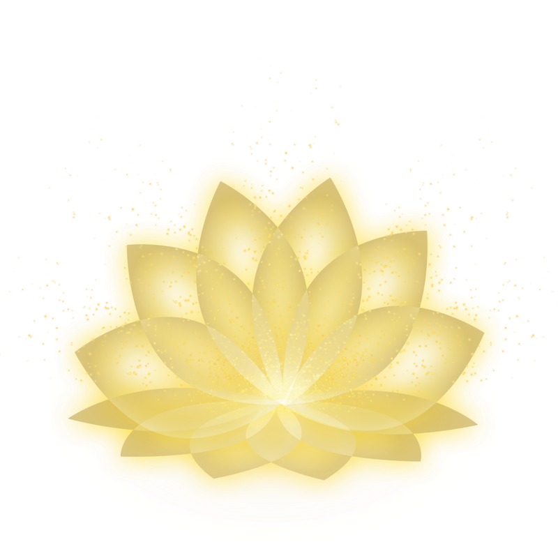 ハスの花