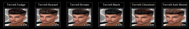Terrell-Hairstyles-M