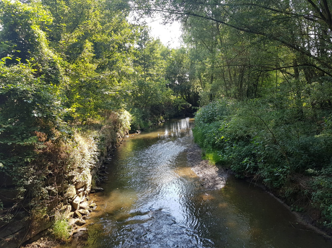 Pieter, Geulhemmer Molen 03 Terblijt 20-07-2018