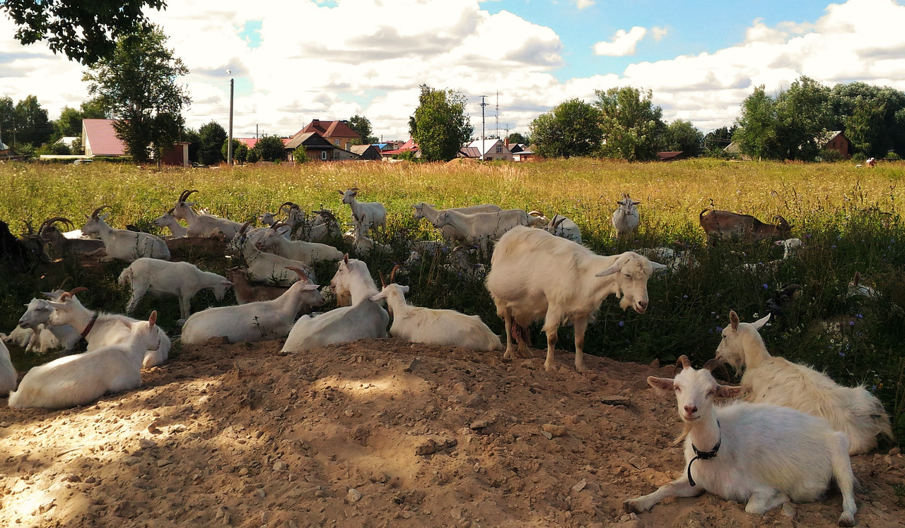 P_20170813_114714 (2)