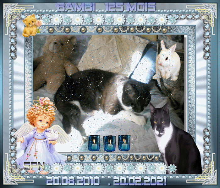 BAMBI-125-MOIS-GIF
