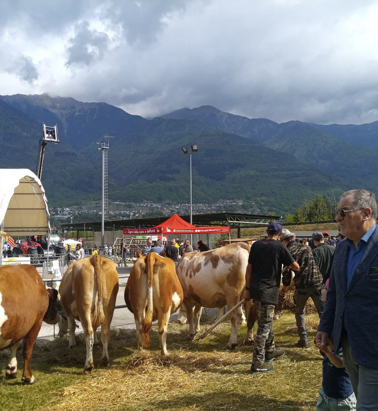 Agri-Valtellina-(13)