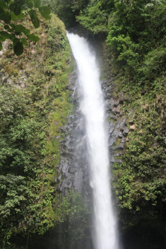 DE TORTUGAS Y PEREZOSOS. COSTA RICA 2019 - Blogs de Costa Rica - DIA 7: ARENAL. CATARATA FORTUNA (21)