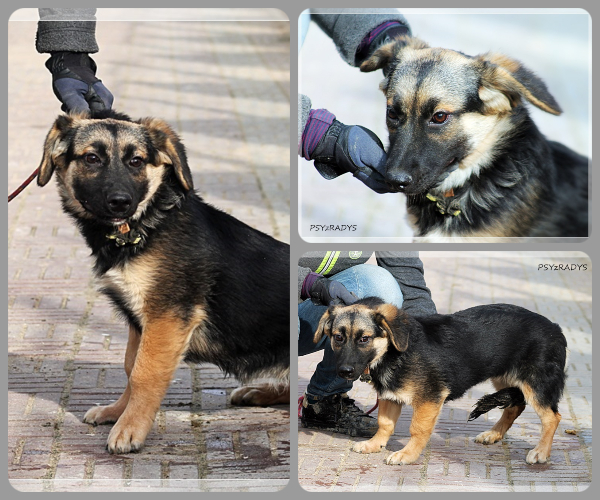 BeFunky-collage (16)