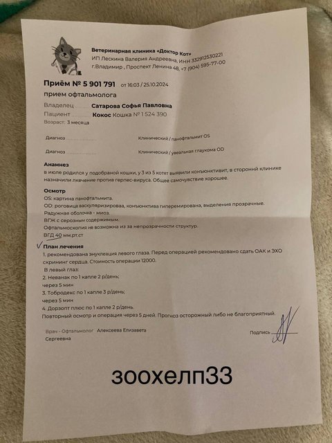 14240F66-92F1-4447-B196-21134C511716