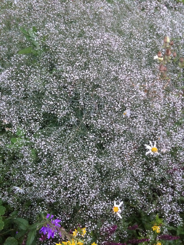 3216A25F-7370-4C38-BE3D-3FF6C18F9DB6