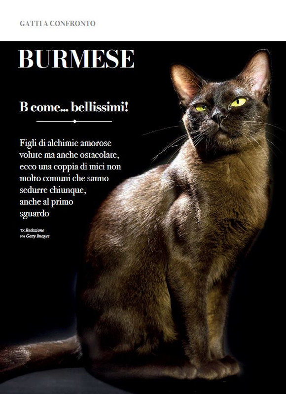 Argos Ago-Set 2023 (1)