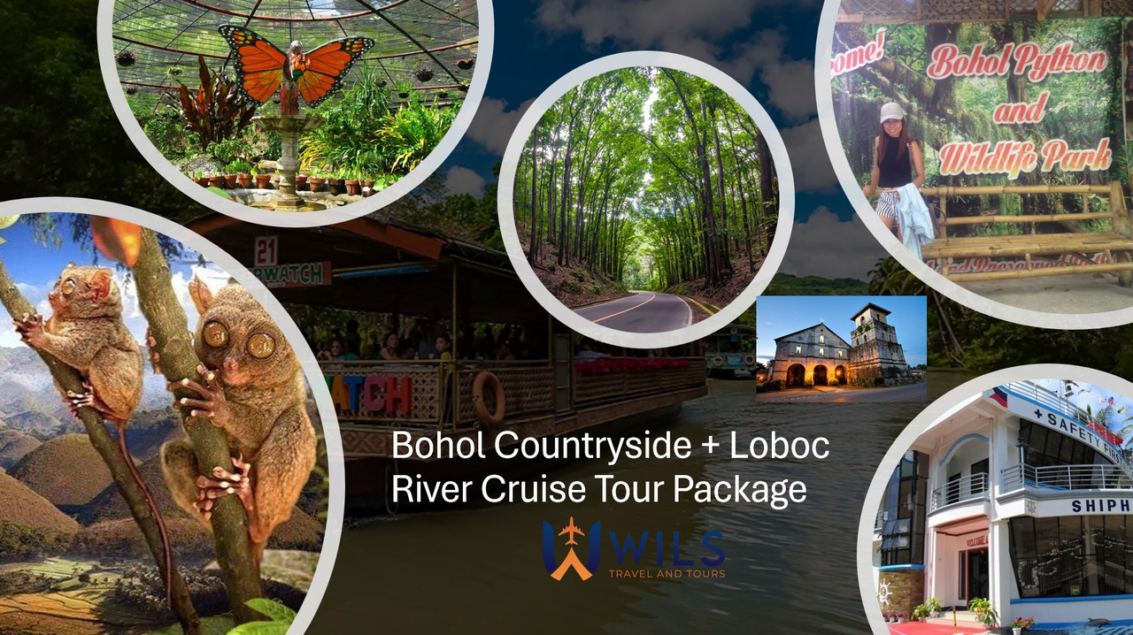 Bohol Countryside + Loboc River Cruise Tour Package